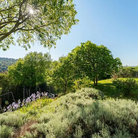 Maison D'architecte Avec Piscine *