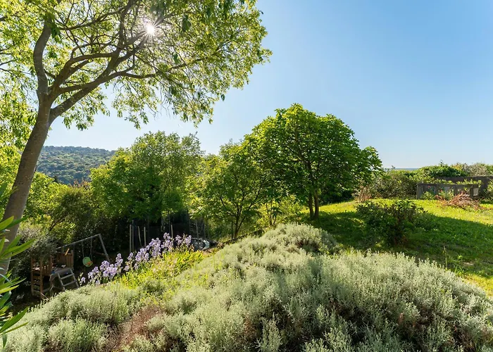 Maison D'architecte Avec Piscine *